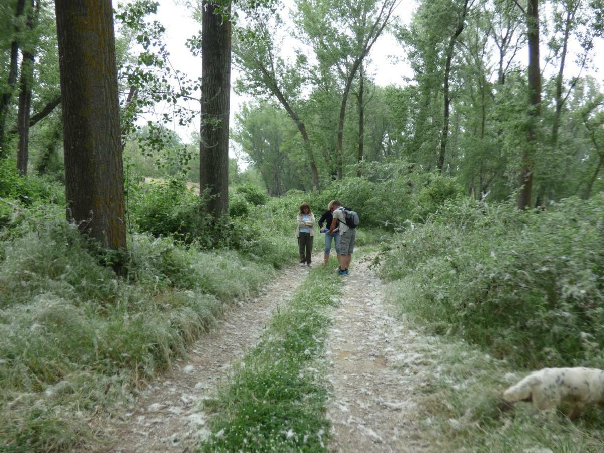 Nestos, Meer Und Berge - Griechenland Mal Anders Zarkadhia Exterior photo